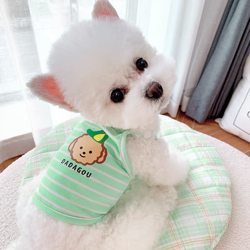 Gummy dadagou crop top
