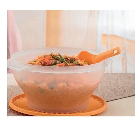 Jual Tupperware Large Rice bowl Shopee Indonesia