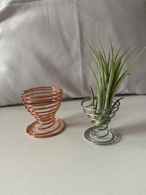Wire Spiral Glass Untuk Pajang Tillandsia