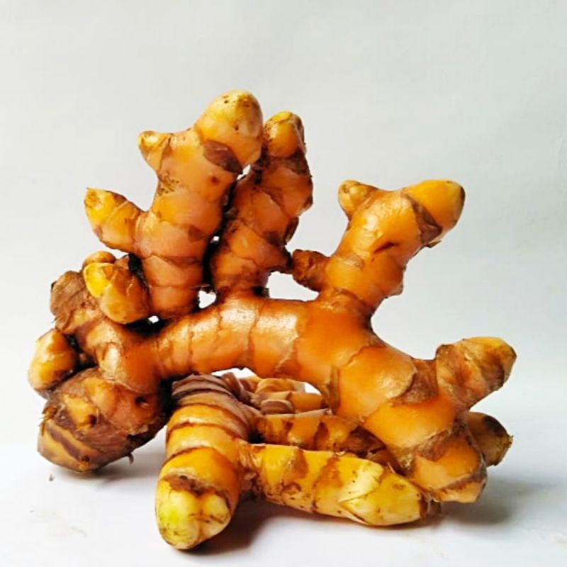 

KUNYIT KUNING SEGAR 1KG