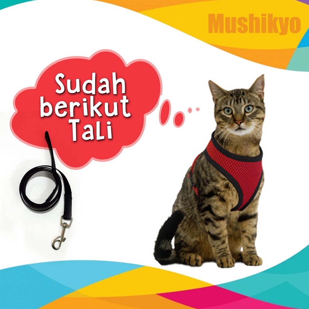 Harness Anjing Kucing Musang dilengkapi tali tuntun