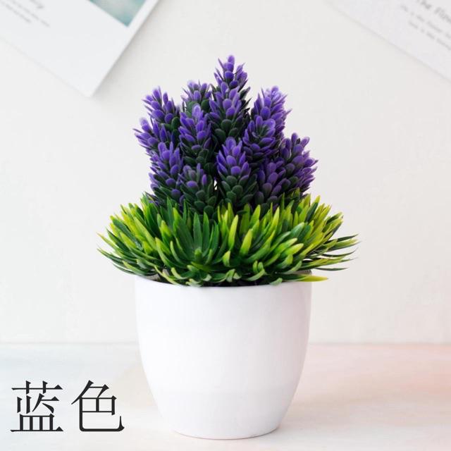 TIB / COD P2034 BUNGA PLASTIK/BUNGA PINUS/ BUNGA ARTIFISIAL PINUS MINI-Biru