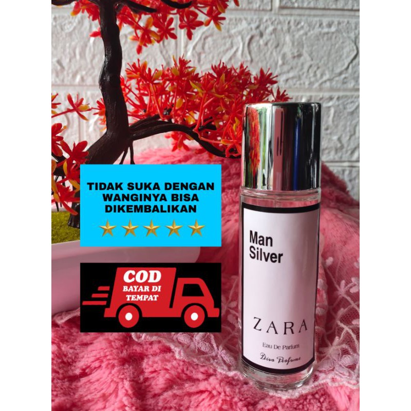 ZARA MAN SILVER - inspired parfum