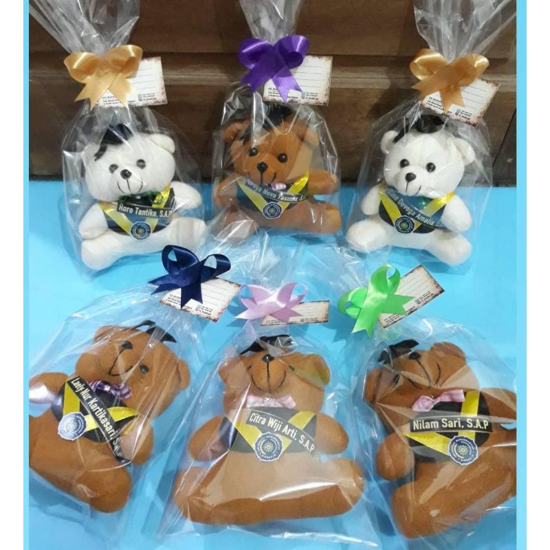 Boneka Wisuda 15Cm / Boneka Wisuda Murah