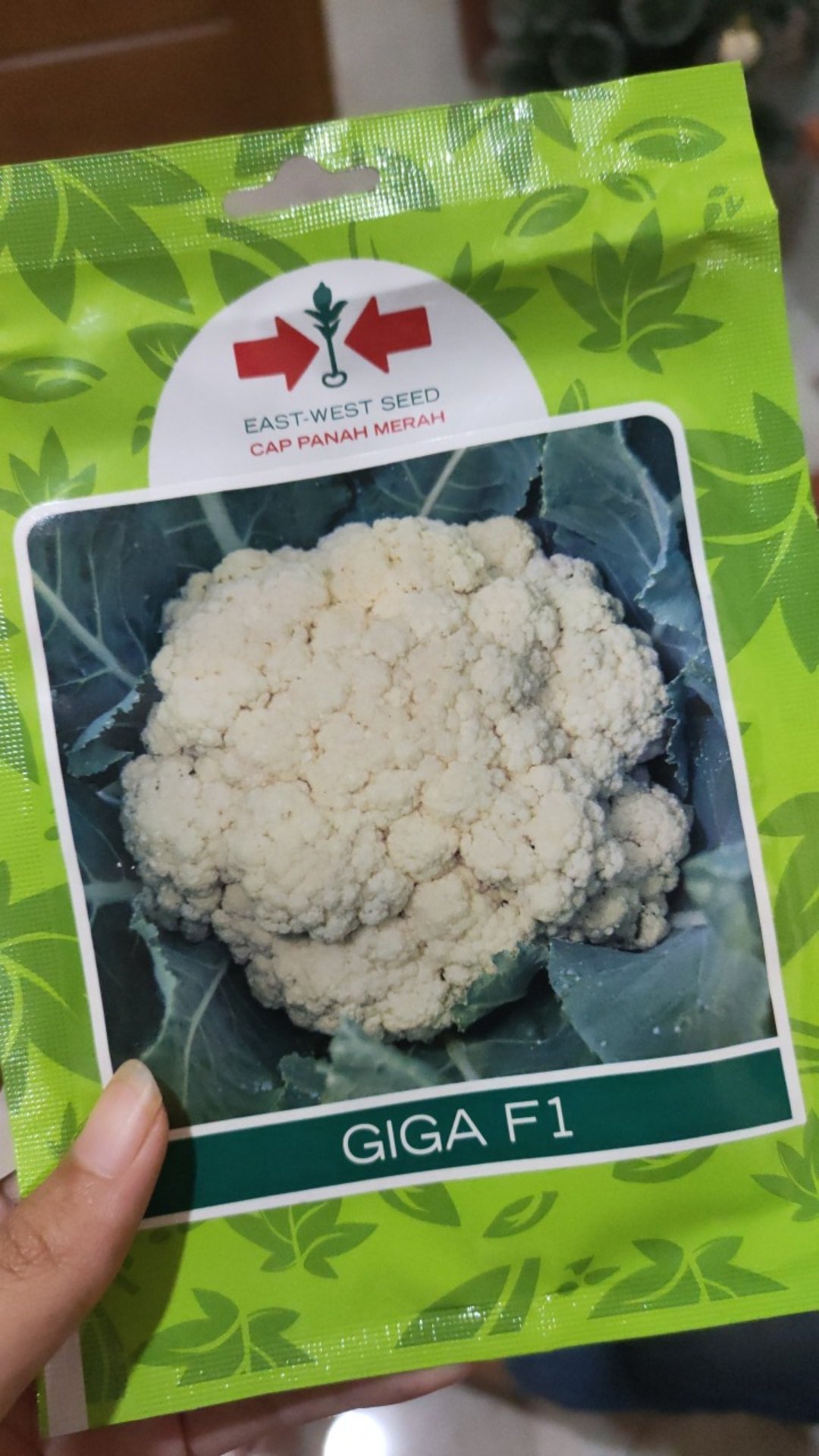 [bisa Cod] Kembang Kol Giga F1 Isi Kemasan 250 Butir / Biji / Seed