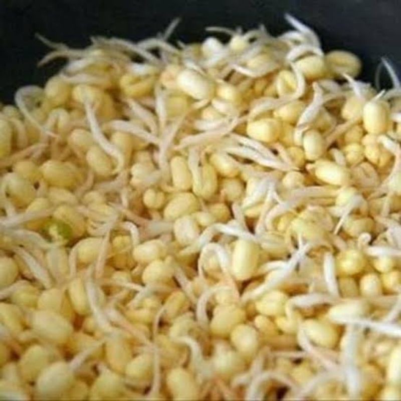 

Toge Rawon toge cambah 250gr