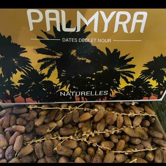 

Kurma Terbaru - Kurma Tunisa Palmyra 5 Kg Tangkai