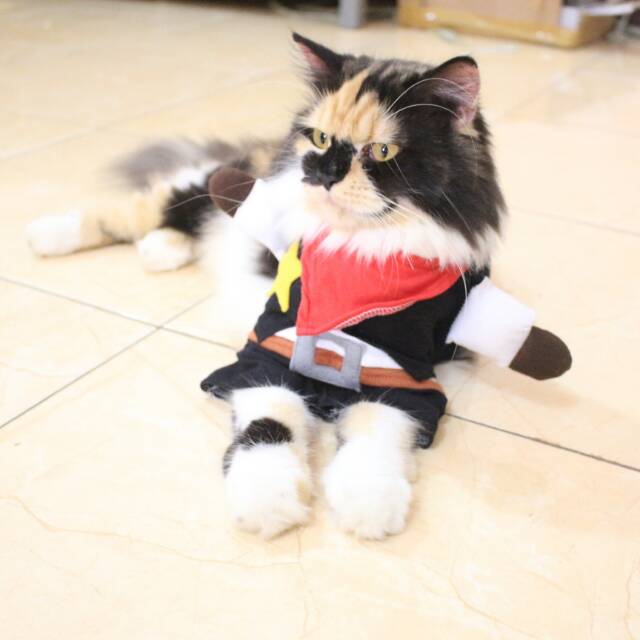 Baju kostum kucing black sheriff / kostum cosplay kucing lucu harga murah meriah size S M L XL