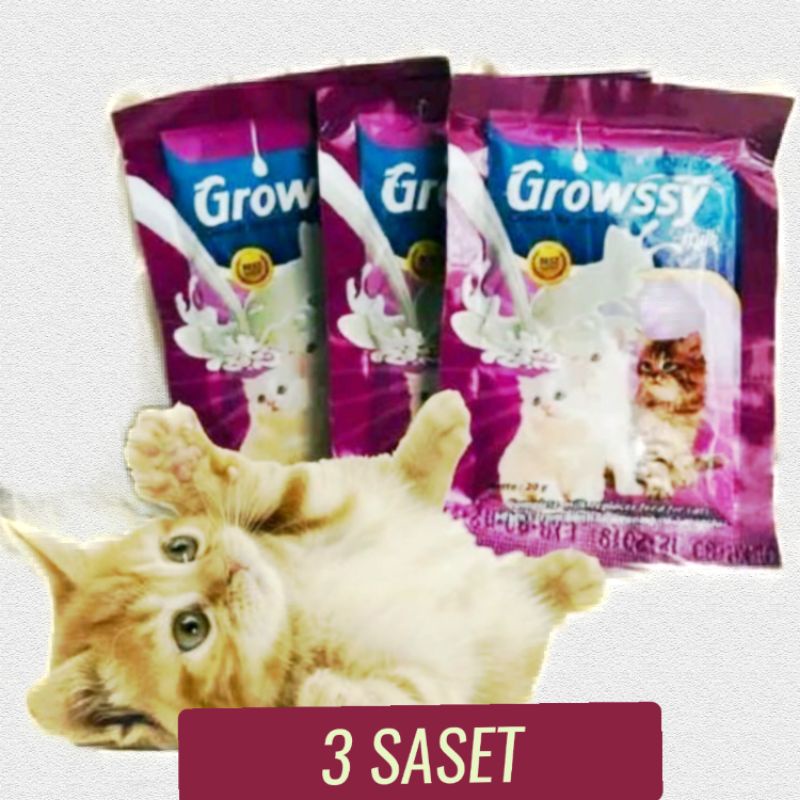 susu KUCING SUSU GROWSSY 3 SASET