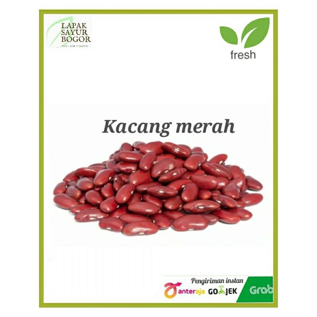 

kacang merah 250gram