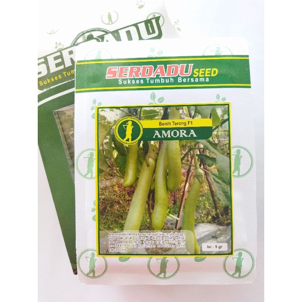 Benih terong hijau AMORA F1 5gram, terong hijau ijo hibrida F1