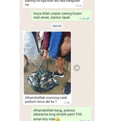 Essen Ikan Mas Paling Bagus, Essen Juara Untuk Lomba Mancing Ikan Mas Harian, Essen Ikan Mas Galapun