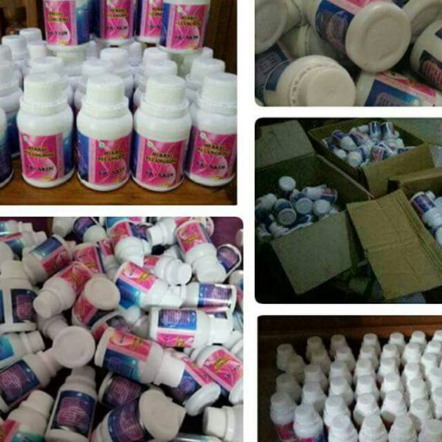 Pelangsing Herbal Erskin/Erskin Original/Erskin Herbal Biasa Isi 40 Kapsul