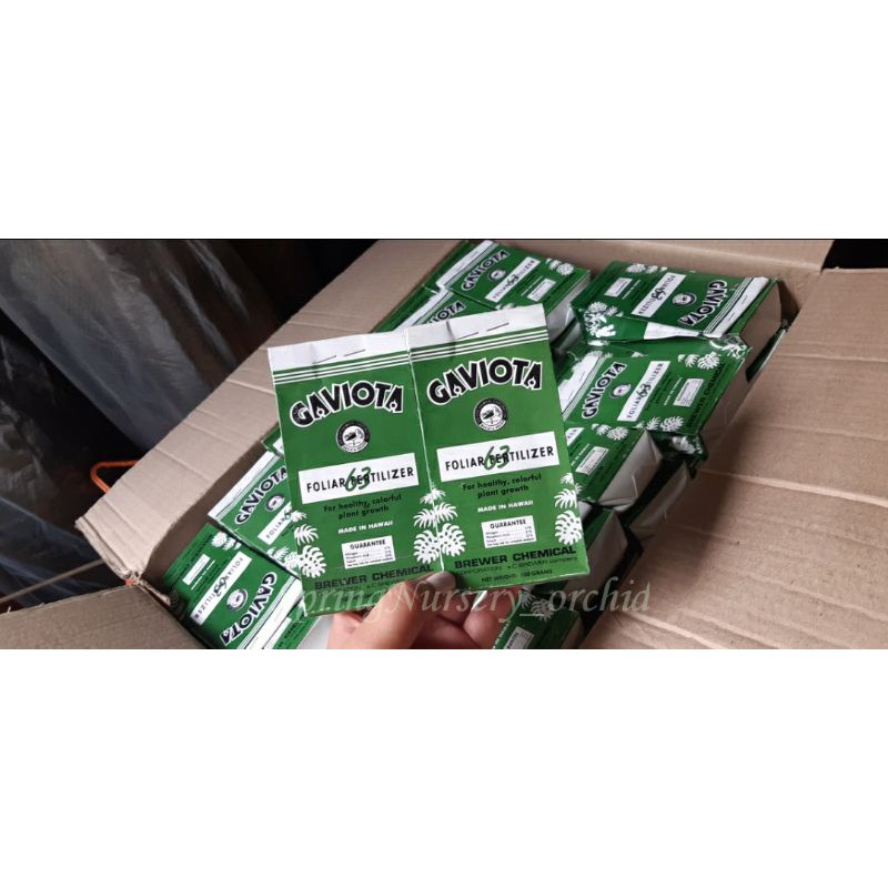 Gaviota 63 (pertumbuhan) 100gr