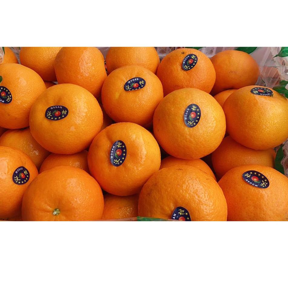 

[PRODUK T8YRC] BUAH JERUK WOGAN WOKAM PREMIUM JERUK KUPAS IMPORT IMPOR 500 GRAM [HAPPY FRUIT] T0E