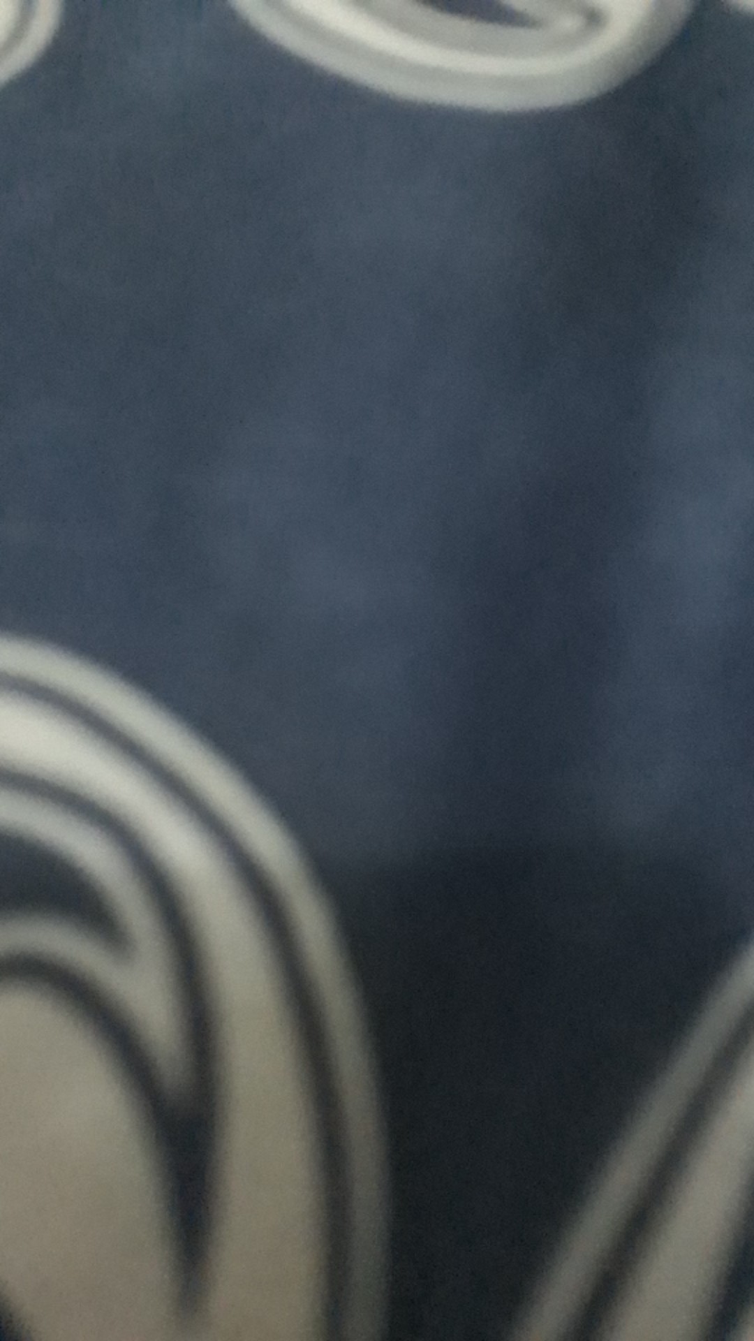 Tanaman Hias Mawar Tanpa Duri