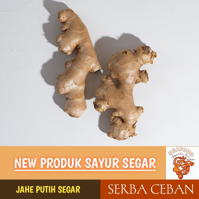 

PROMO JAHE SEGAR SERBA CEBAN - JAHE PUTIH