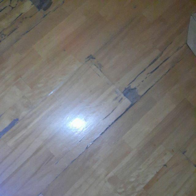 Plastik Opp / Plastik Undangan / Plastik Kue