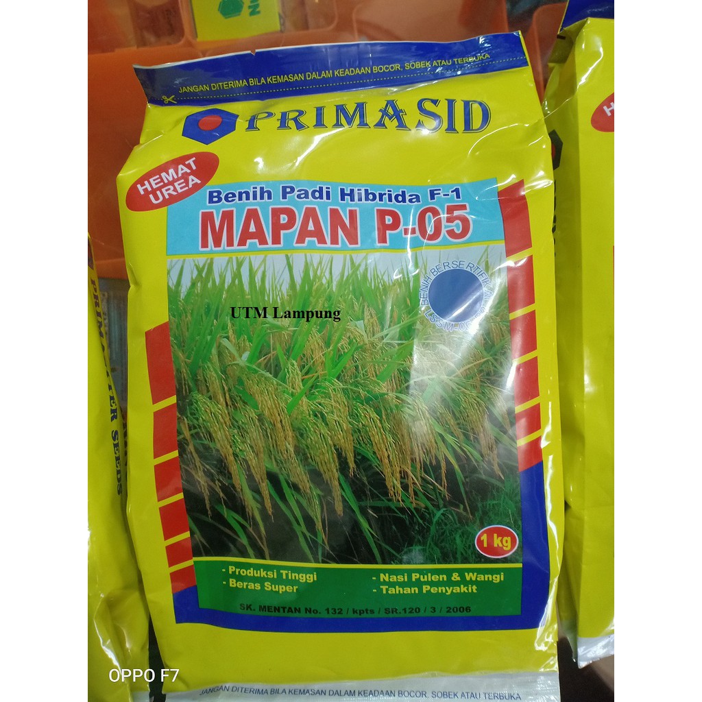 PADI HIBRIDA MAPAN 05 BERAT 1KG PRODUK PRIMASID