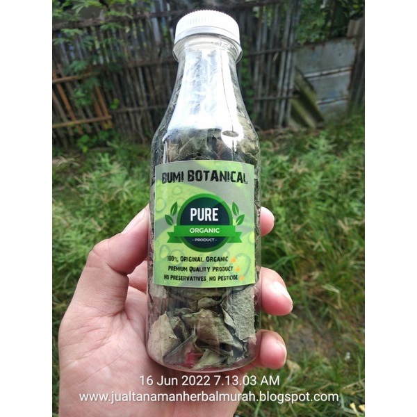 

daun teh keji beling kering herbal