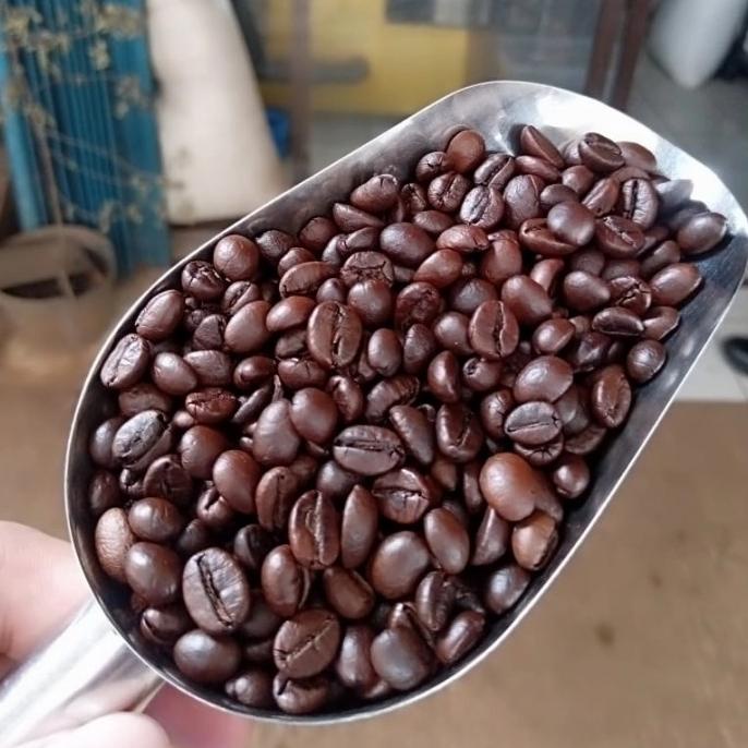 

Cuci Gudang Awal Tahun Kopi Robusta Aceh Gayo 1 Kg Cuci Gudang Awal Tahun