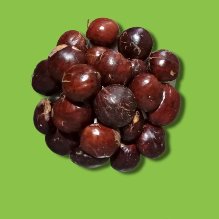 

SegarDailly Jengkol 500g/pack