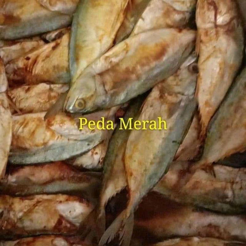 

IKAN_PEDA