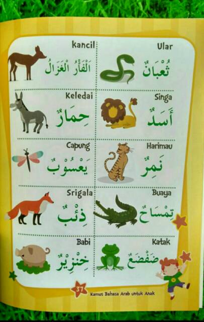 Arab harimau dalam bahasa Cari Nama