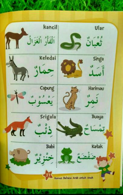 Harimau Dalam Bahasa Arab