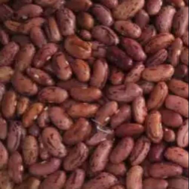 

Kacang merah kering 500gr / setengah kilo