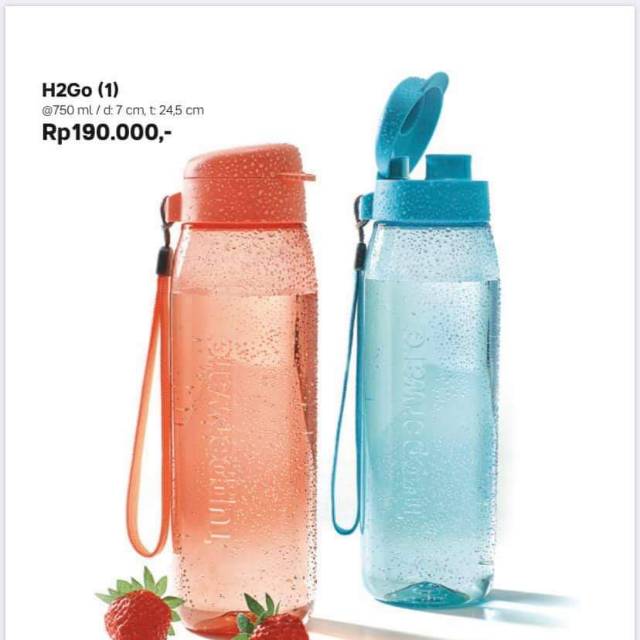H2GO botol