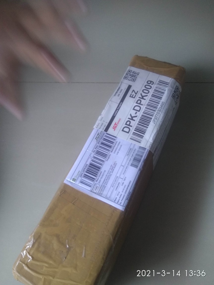 Tanaman Hias Miyana-miana Merah