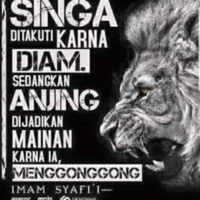 Hanfat Barracuda Grip Universal Handgrip Ninja250 R25 Cbr250