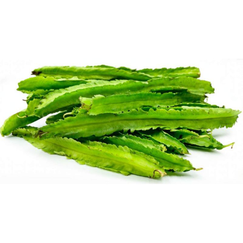 

Jual KECIPIR SEGAR SAYUR 1 KG