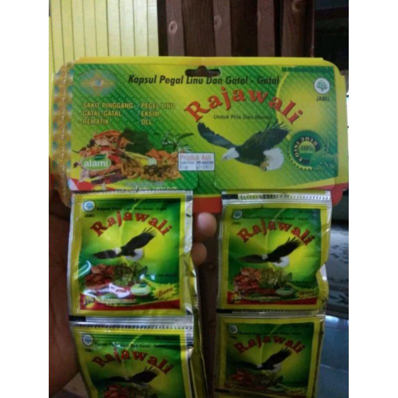 

KAPSUL RAJAWALI TRADISIONAL ORIGINAL