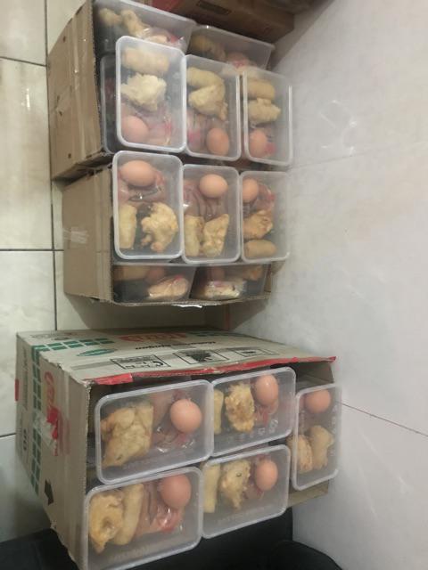 Thinwall 1000 Ml, Wadah Plastik, Lunch Box Plastik, Kemasan Makanan Plastik, Food Container