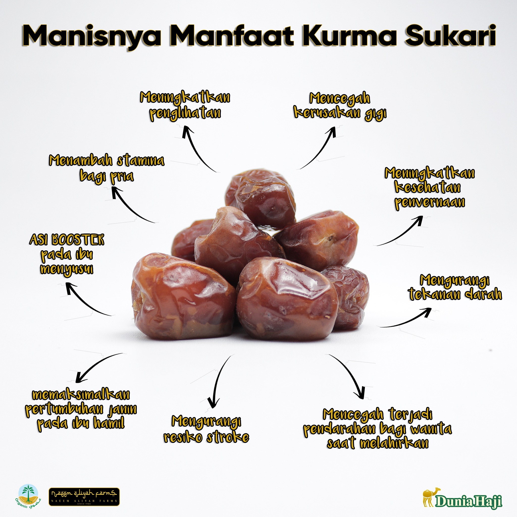 Kurma Sukari Basah Kemasan Premium Nr 100 Asli Original Sukkari Haji Dan Umroh Indonesia