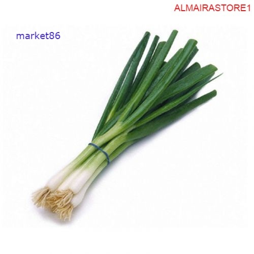

Grosir Sayur Sayuran Segar FRESH Daun Bawang 250 Gram - Market86