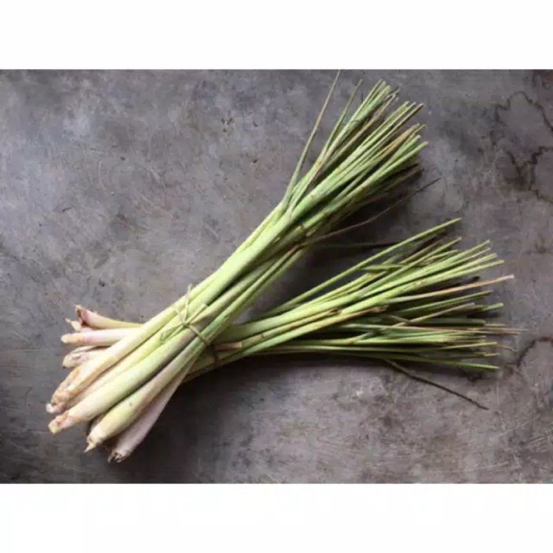 

Daun serai segar murah 500 gram