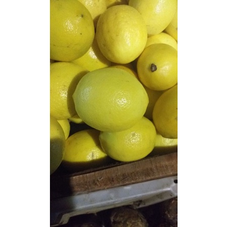 

Jeruk lemon