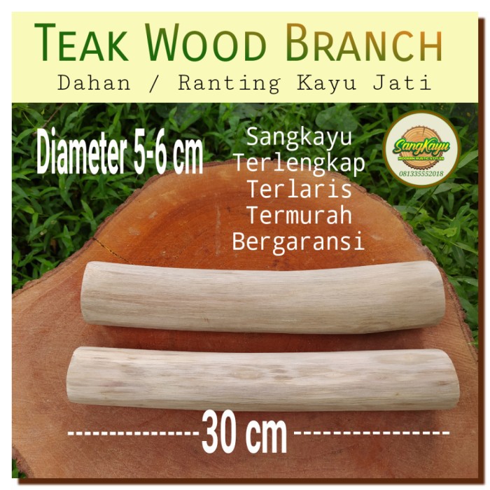 Dahan ranting kayu jati 5-6-30 cm teak wood branch macrame wood log