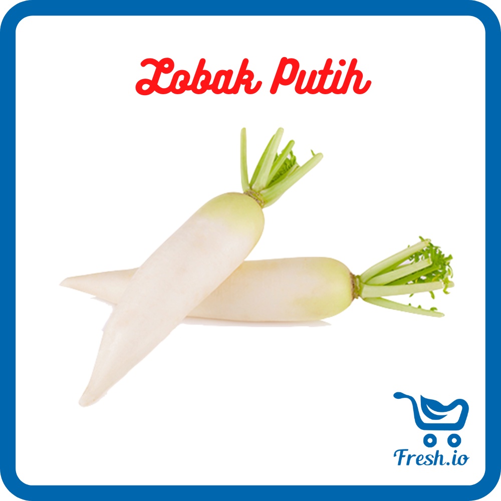 

Lobak Putih