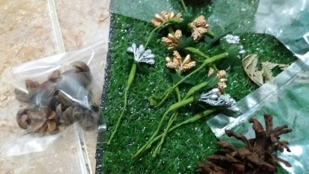 Biji Durenan Bahan Mahar Dan Craft Rustic