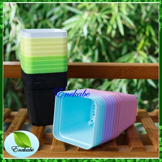  Pot  Plastik  Mini Pot  es krim Kotak  Pot  Hias Vas Plastik  