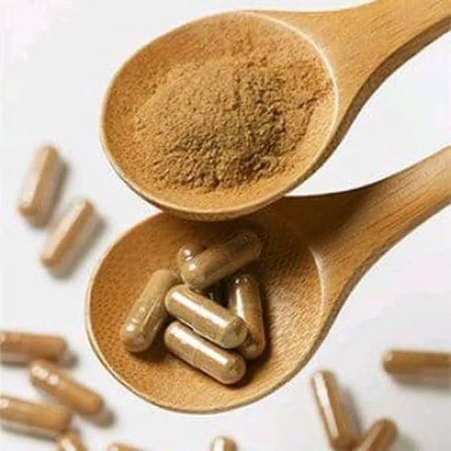 

Kapsul Kayu Secang Rempah Herbal Natural Obat Alami