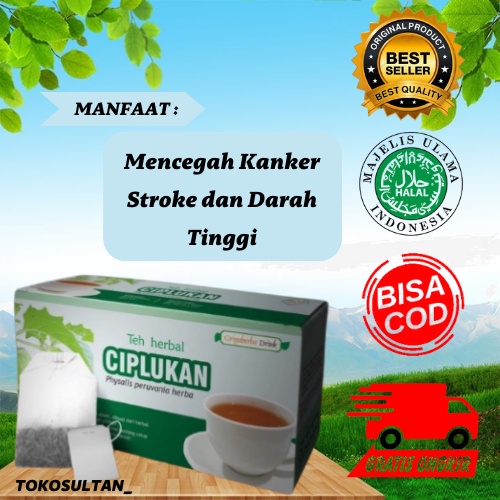 

Teh Celup Herbal Ciplukan untuk meredakan sakit tenggorokan Halal Sdah BPOM