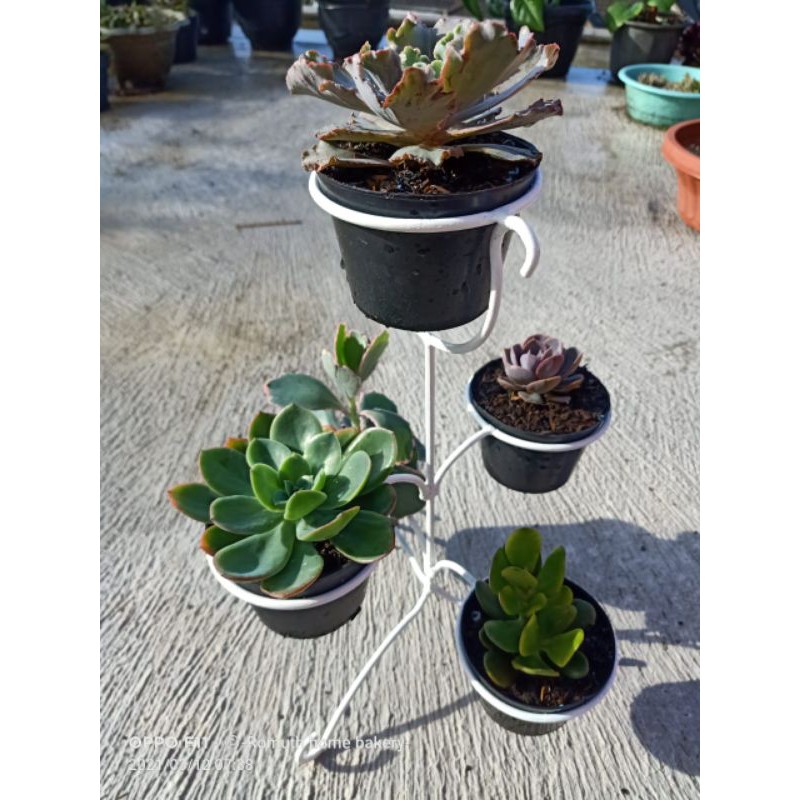 Rak tanaman besi murah