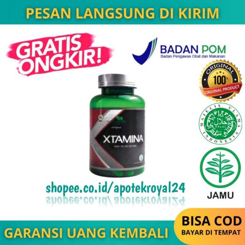 XTAMINA Herbal Stamina Pria Dewasa Kuat Kualitas Premium Aman Original Terdaftar BPOM MUI