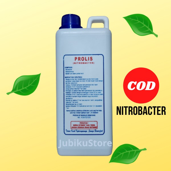 PROBIOTIK Nitrobacter Pengurai Amoniak Kotoran Ikan dan Ternak