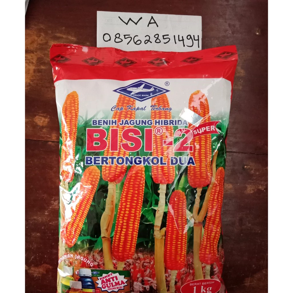 Benih Bibit Jagung Bisi 2 Cap Kapal Terbang